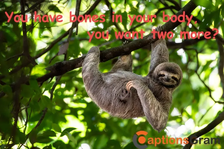 Dirty Sloth Pick Up Lines
