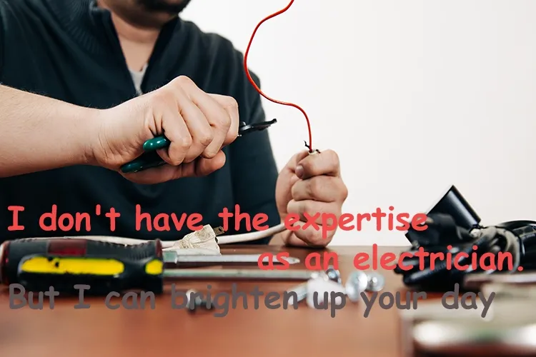 I don't have the expertise as an electrician. But I can brighten up your day