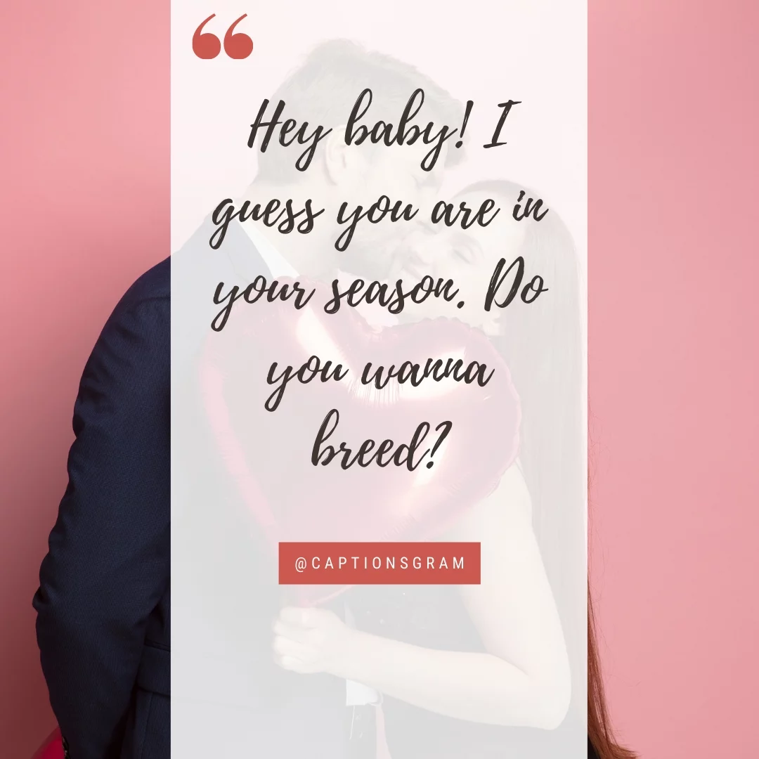 Hey baby! I guess you are in your season. Do you wanna breed?