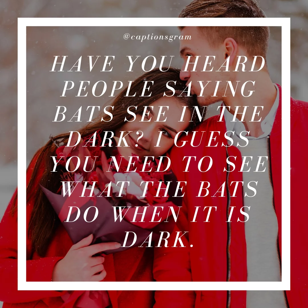 Have you heard people saying bats see in the dark? I guess you need to see what the bats do when it is dark.