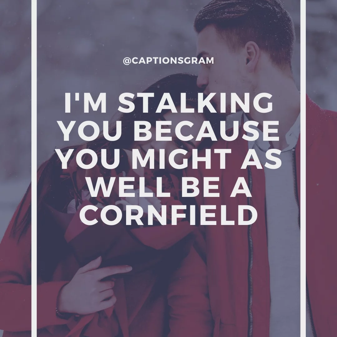 I'm stalking you because you might as well be a cornfield