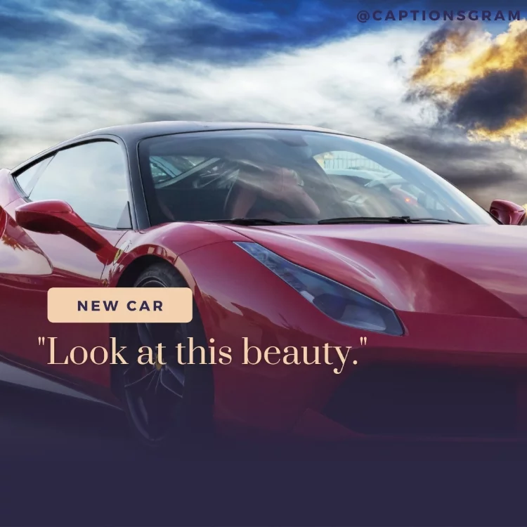 "Look at this beauty."
