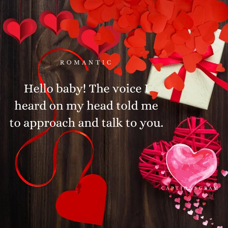 Hello baby! The voice I heard on my head told me to approach and talk to you.