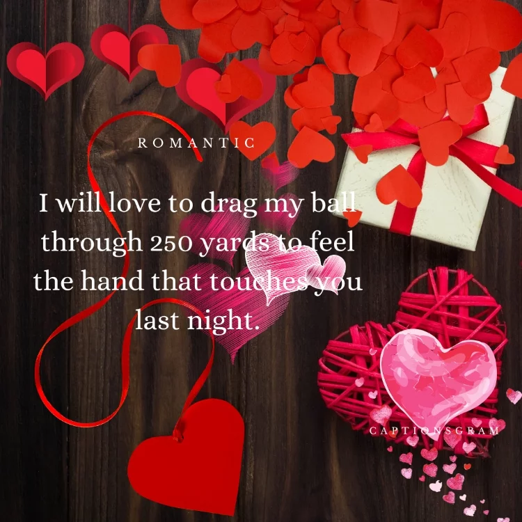 I will love to drag my ball through 250 yards to feel the hand that touches you last night.