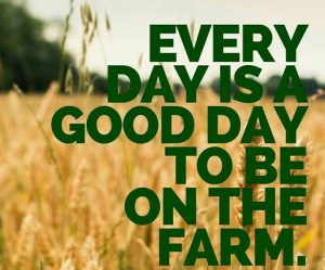 most iconic farm quotes