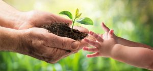 Inspiring Quotes About Giving for instagram
