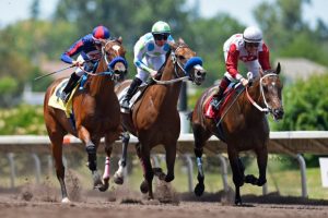 Best Horse Racing Captions&nbsp;