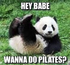 Best Animal Pick Up Lines
