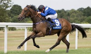 Inspiring Horse Racing Captions