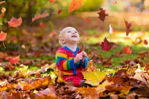Cute Fall Captions for Instagram