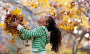 Best Fall Captions for Instagram