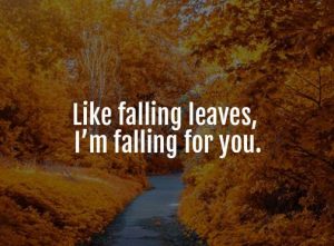 Best Fall Pick Up Lines