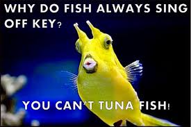 Best Fishing Pick Up Lines