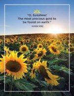 Best Inspirational Sunshine Quotes For Instagram