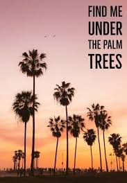 Best Tree Captions For Instagram