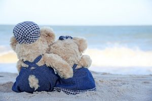  Best Teddy Bear Captions For Instagram