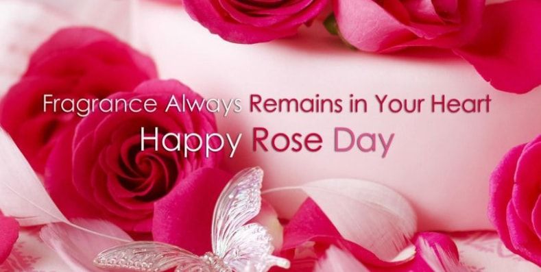 Rose Day Status Quotes