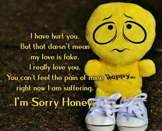 Sorry Status for Girlfriend