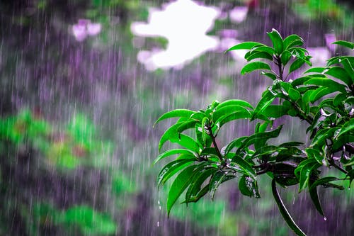 Funny Rain Puns&nbsp;