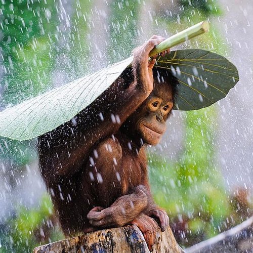 Funny Rain Puns&nbsp;