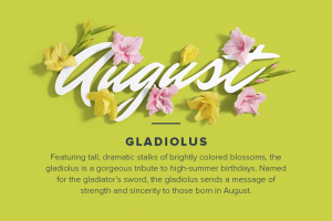 happy august month captions