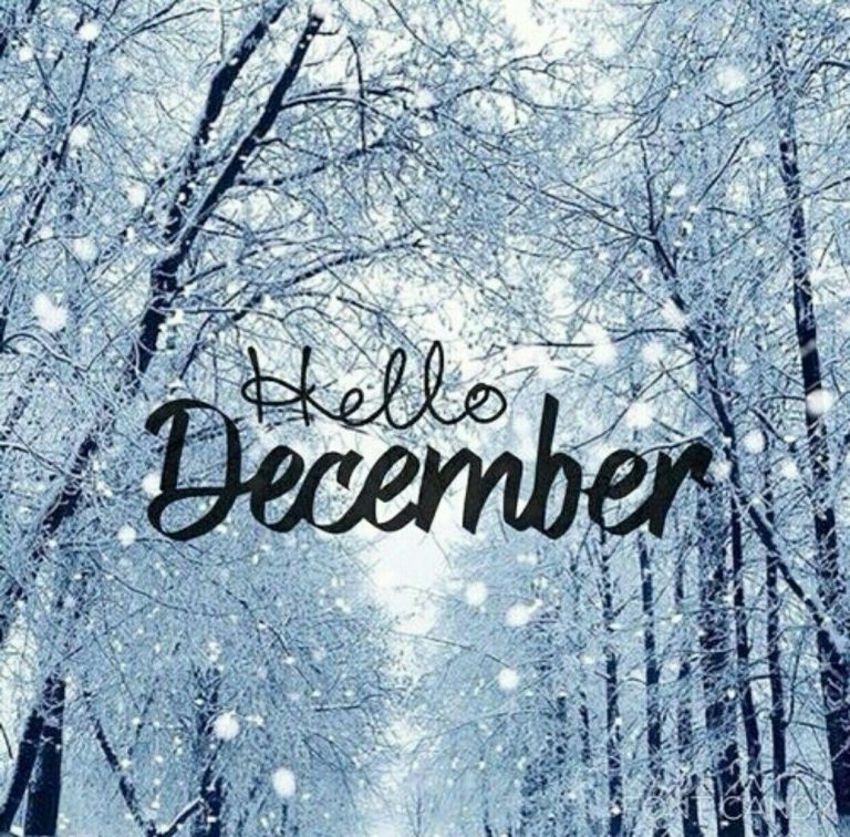 Perfect December Month Captions for Instagram — CaptionsGram