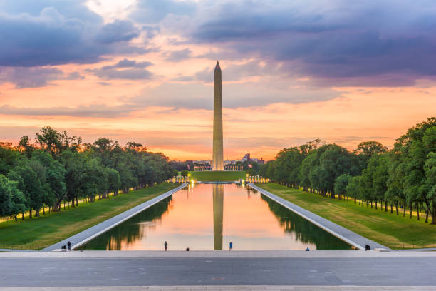 Cute-Washington-Dc-Caption