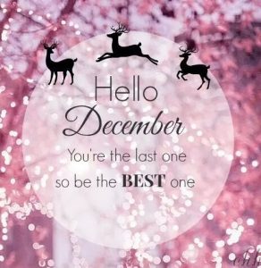 happy december captions