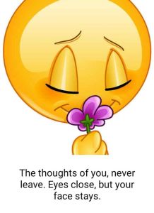 Best Emoji captions