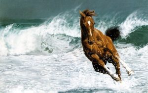 Best Horse Captions