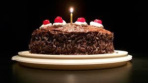 chocolate cake captions