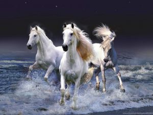 Inspirational Horse Captions