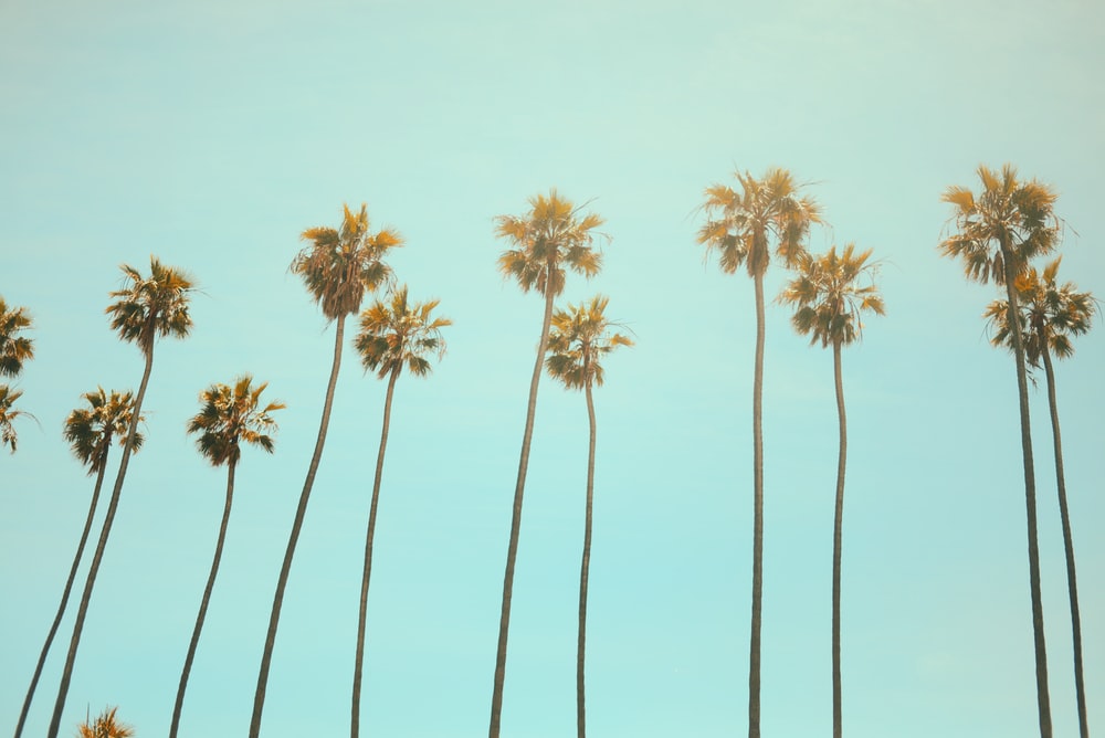 California Captions For Instagram