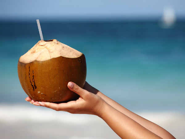 Coconut Captions For Instagram