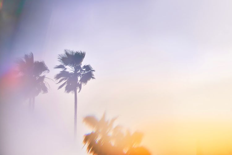 Los Angeles Captions For Instagram